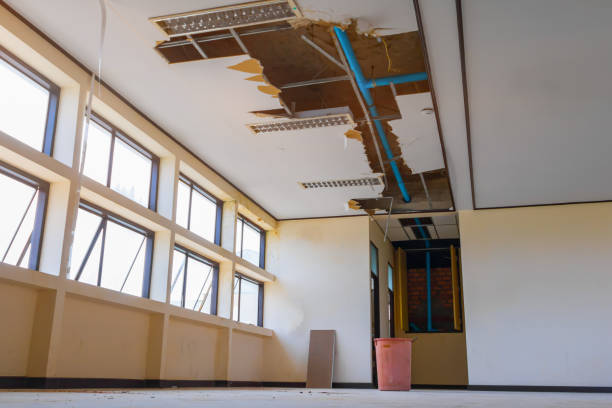 Best Water damage cleanup near me  in Bay Point, CA