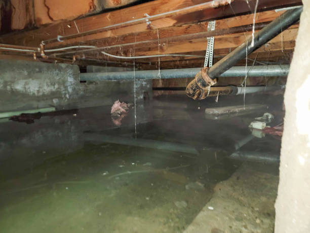 Best 24/7 water damage repair  in Bay Point, CA