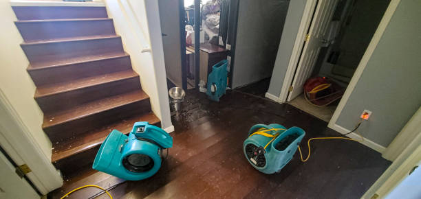 Best Professional water damage repair  in Bay Point, CA
