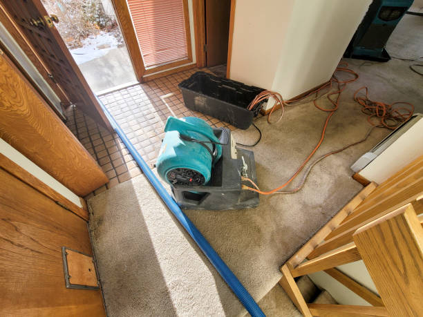 Best Mold removal after water damage  in Bay Point, CA