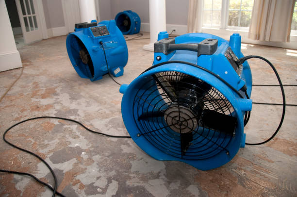 Best Carpet water damage restoration  in Bay Point, CA