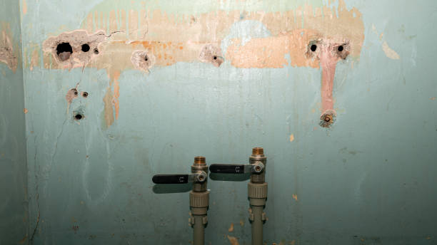 Best Flooded house restoration  in Bay Point, CA
