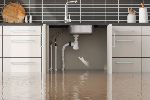Best Mold removal after water damage  in Bay Point, CA